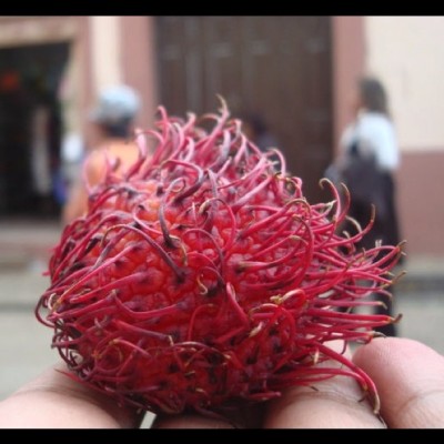 “RAMBUTÁN. It’s a fruit” by fisherscott (via Instagram)