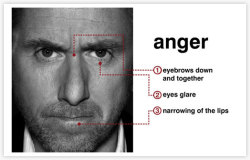 thisisnotpsychology:   Thirty years ago, Paul Ekman did cross-cultural research and identified seven basic human emotions. He identified the seven basic emotions through facial expressions. No matter where in the world, what culture, class, race, gender,