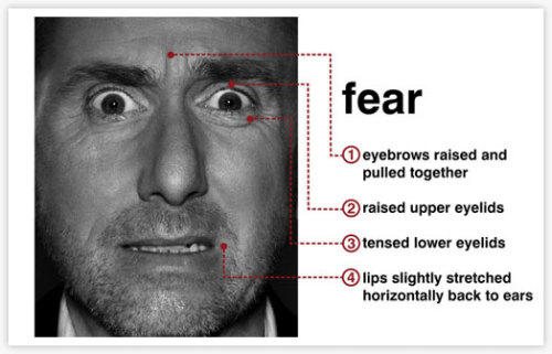 thisisnotpsychology:   Thirty years ago, Paul Ekman did cross-cultural research and identified seven basic human emotions. He identified the seven basic emotions through facial expressions. No matter where in the world, what culture, class, race, gender,