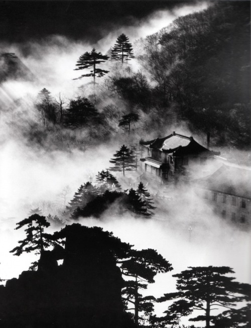 artemisdreaming:  nearlya:  Wang Wusheng  North Sea Guest House, taken at Lion Peak, November 1984, 4 PM  Artemis:  Wonderful.  Thank you, Rich.  :)  