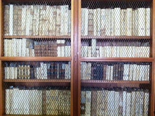 From the library in Centro Cultural Santo Domingo (Cultural Center of Santo Domingo) in Oaxaca, Mexico