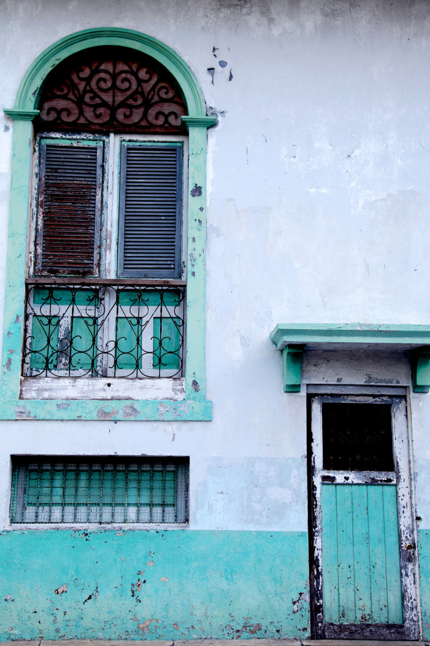 blue-w-a-v-e:  (via imgTumble)