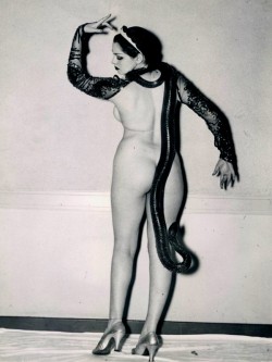 Frenchtwist:  Via Hoodoothatvoodoo:  Zorita..  Letting Her Snake Dangle Down Between