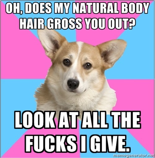 criticalfeministcorgi:  [Image description: the head of a corgi on a pink and blue alternating background. Text above reads “Oh, does my natural body hair gross you out?”. Bottom text reads “Look at all the fucks i give”. End description] 