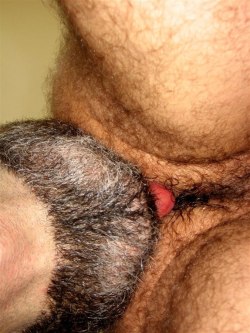 men-upclose:  serifsmith:  Hairy Arse Lick 