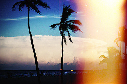 Sweet Escape