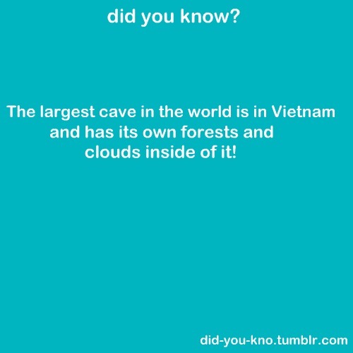 rubato:  did-you-kno:     Source  omg  So this is really fucking cool.