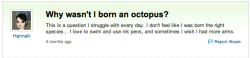 octopus-ahoy:     