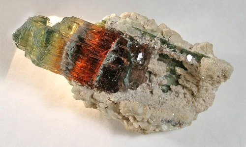 mineralia: Tourmaline in Cookeite from Brazil