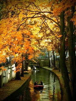 sunsurfer:  Early Autumn, Utrecht, The Netherlands photo via visualizeus 