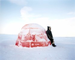 olio-ataxia:  permeated, imbued, pink igloo Scarlett Hooft Graafland 