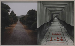 nearlya:  Sophie Calle, “Doleur Exquise, Road” 