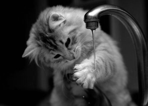 Milk... Emozioni in bianco e nero