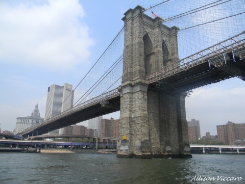 Porn Pics Brooklyn Bridge