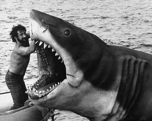 nevver:  Shark Week