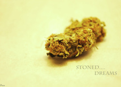 thatsgoodweed:  New Mixtape coming soon…”Stoned