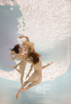 Tacharin, Jenny, Brooke Lynne - Ed Freeman