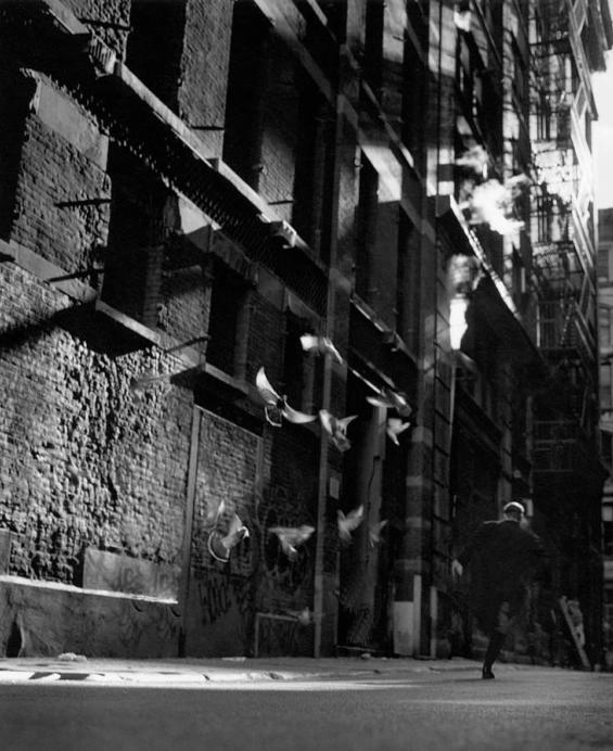 Jason Langer
Secret City Pt.1: Alley, 1998
“”
Thanks to midnightmartinis and undr