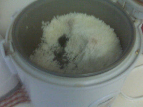 there’s mold growing in the pot of rice in our houseahha im going to barf