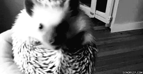 rememberingwhoiam:  I like his face when he rolls up. 