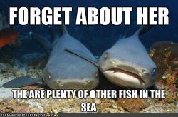 eekim:  Via Kate Wing. (via Happy Shark Week!