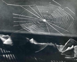 firsttimeuser:  Man Ray “There is no progress in art, any more than there is progress in making love. There are simply different ways of doing it.”