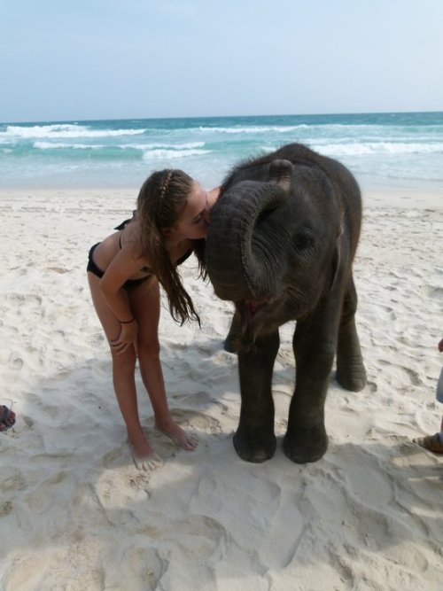 life goal: be rich enough to play with a baby elephant on a beautiful blue beach
