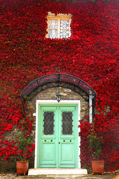 Front door color