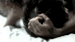 thissnigguh:  h a i r p u l l i n g 