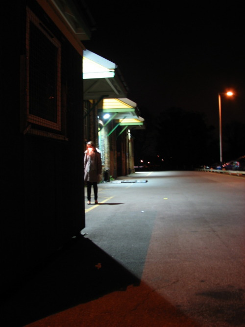There is something haunting in the light of the moon; it has all the dispassionateness of a disembod