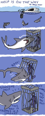 garotasgeeks:  Os tubarões querem te ajudar!!