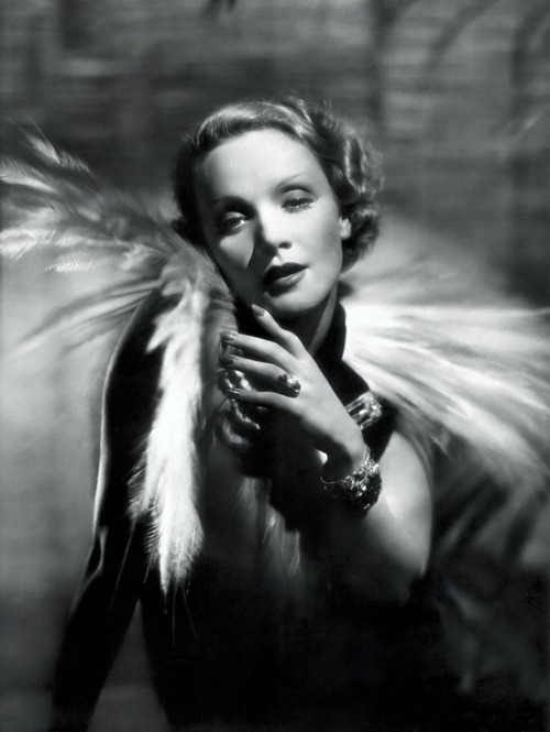 soleil-de-matin: Marlene Dietrich