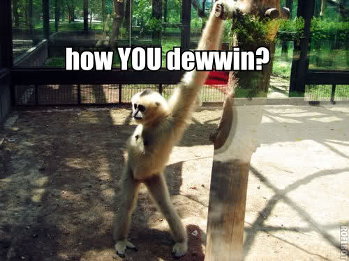 when you see someone cute walk past you