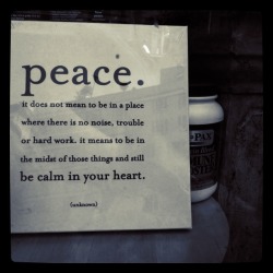 fuckyeahhipsterpics:  Photo credit: www.ignitemywildsoul.tumblr.com 