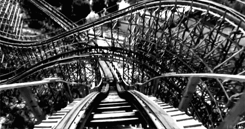 debbygiveshugs:  i live&amp;thrive for rollercoasters. 
