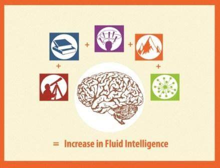 You can increase your intelligence: 5 ways to maximize your cognitive potential | Guest Blog, Scientific American Blog Network
1. Seek Novelty
2. Challenge Yourself
3. Think Creatively
4. Do Things The Hard Way
5. Network