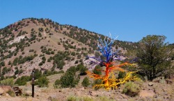 sirmitchell:    The  Colorado-based artist