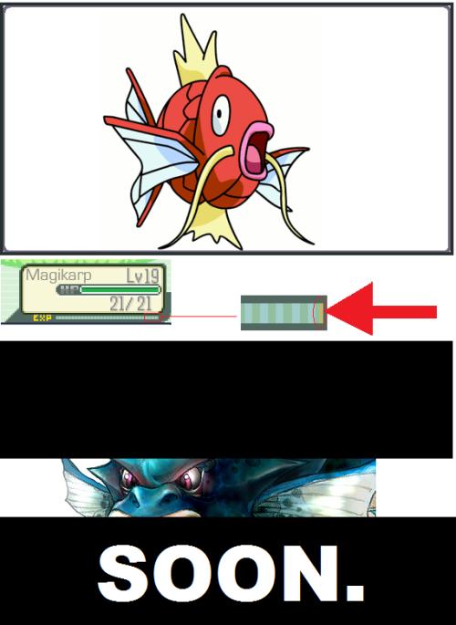 Porn Pics Esses dias atraz eu peguei um Magikarp pra