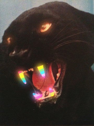 panther rainbow teeths
