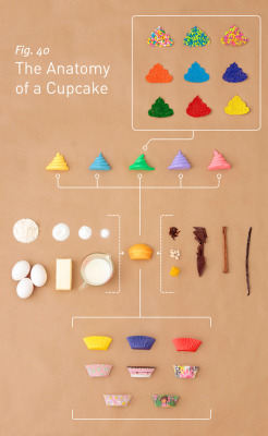 The Anatomy of a Cupcake by Allen Hemberger and Sarah Wilson.