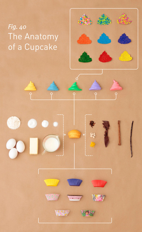 Porn photo The Anatomy of a Cupcake by Allen Hemberger and Sarah