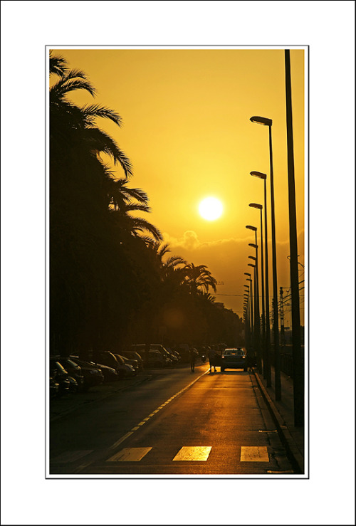 handa:  Good Morning, Santa Susanna!, a photo from Barcelona, Catalonia | TrekEarth