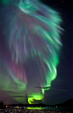 metaconscious:  Stunning capture of the aurora