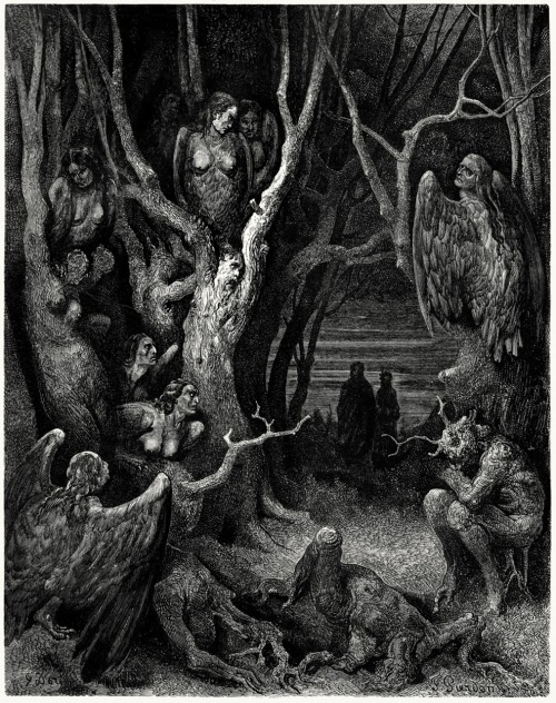 oldbookillustrations:Here the brute harpies make their nest.Gustave Doré, from Dante’s Inferno, by D