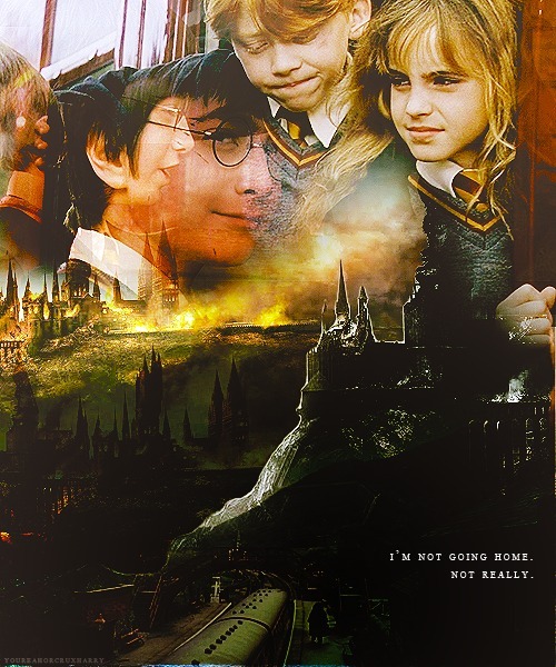My Life Potter