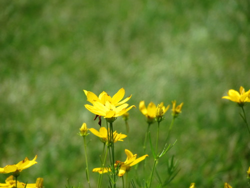 Life is an amazing miracle….. look at the life that surronds you look how it captures you <3