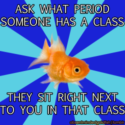 absentmindedgoldfish:  Sorry if this has already been done before, but this happens to me often. 