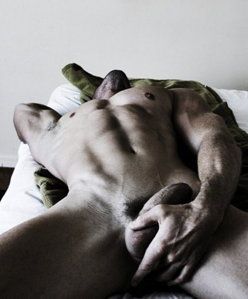 powermale-blog - Powermale