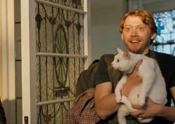 cuteboyswithcats:  rupert grint + feline = female boner -kathleenpreston  LOL @ THAT TAG. ALSO WHY IS GRAHAM AND LILY ON CUTE BOYS WITH CATS?