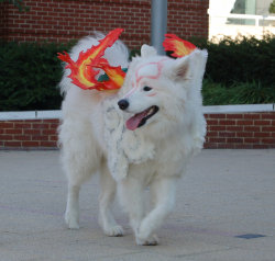 weaboostories:  jorgieboy:  themantablog:  This made my day so much!  AAAHH! :D I couldn’t stop my wide giant smile from fading!  Real Amaterasu from Ōkami!  This is the best!  Look at him smiling!!!Found on Kotaku: ‘Meet a Dog That’s Blissfully